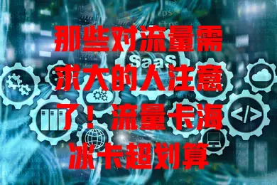 那些对流量需求大的人注意了！流量卡海冰卡超划算