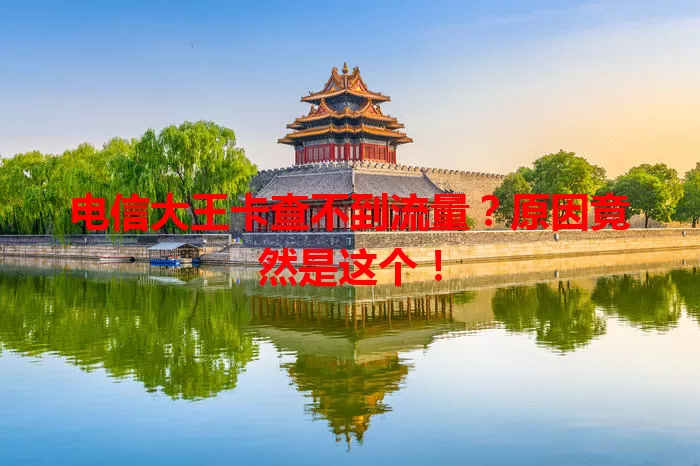 电信大王卡查不到流量？原因竟然是这个！