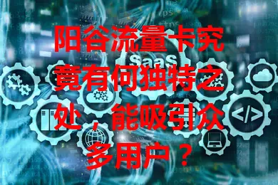 阳谷流量卡究竟有何独特之处，能吸引众多用户？