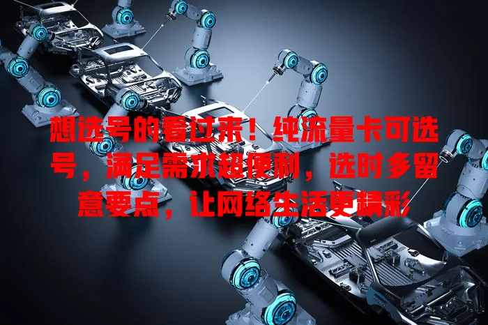 想选号的看过来！纯流量卡可选号，满足需求超便利，选时多留意要点，让网络生活更精彩
