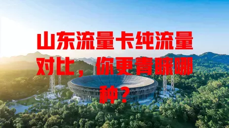 山东流量卡纯流量对比，你更青睐哪种？