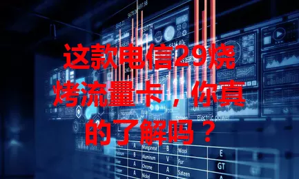 这款电信29烧烤流量卡，你真的了解吗？
