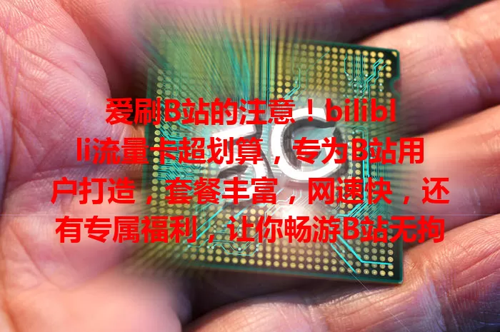爱刷B站的注意！biliblli流量卡超划算，专为B站用户打造，套餐丰富，网速快，还有专属福利，让你畅游B站无拘无束