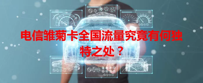 电信雏菊卡全国流量究竟有何独特之处？