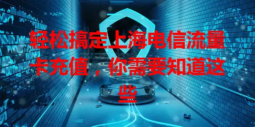 轻松搞定上海电信流量卡充值，你需要知道这些