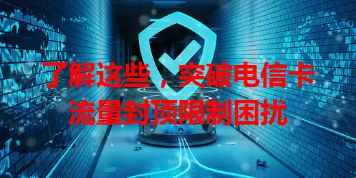 了解这些，突破电信卡流量封顶限制困扰
