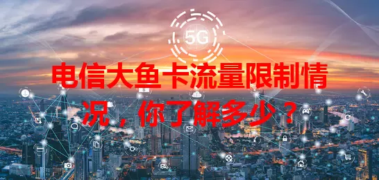 电信大鱼卡流量限制情况，你了解多少？
