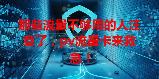 那些流量不够用的人注意了，pv流量卡来救急！