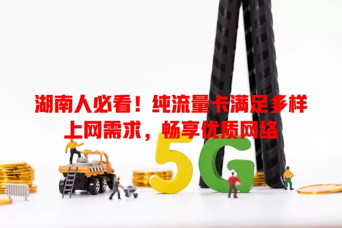 湖南人必看！纯流量卡满足多样上网需求，畅享优质网络