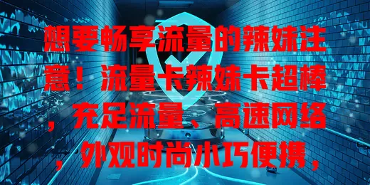 想要畅享流量的辣妹注意！流量卡辣妹卡超棒，充足流量、高速网络，外观时尚小巧便携，是爱社交辣妹的最佳选择，助你精彩分享生活