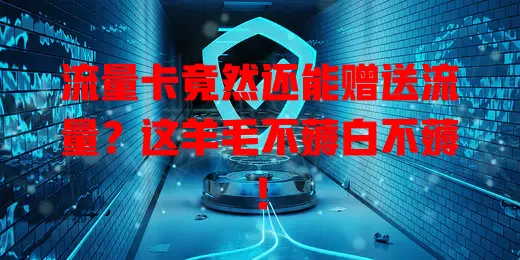 流量卡竟然还能赠送流量？这羊毛不薅白不薅！