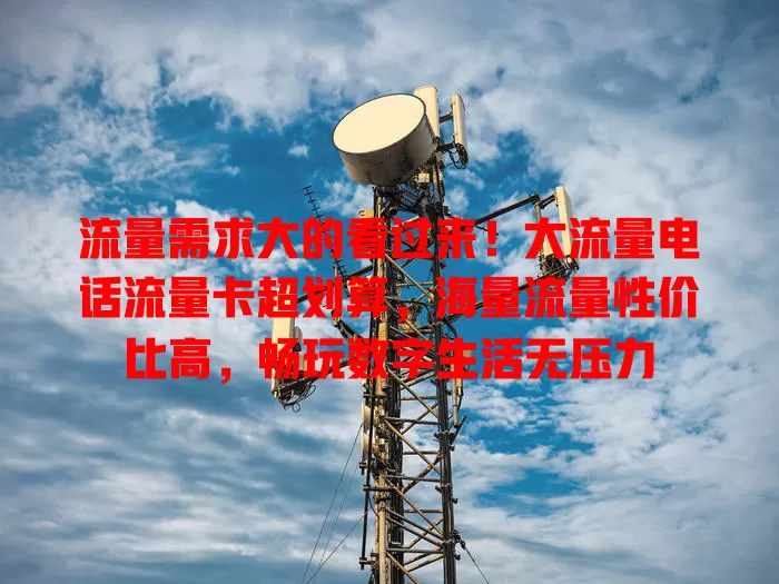 流量需求大的看过来！大流量电话流量卡超划算，海量流量性价比高，畅玩数字生活无压力
