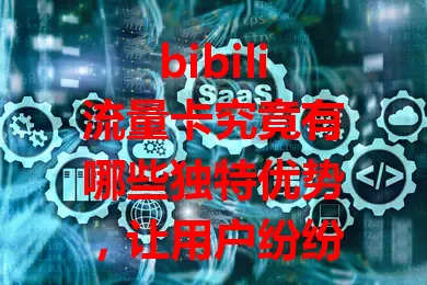 bibili流量卡究竟有哪些独特优势，让用户纷纷点赞？