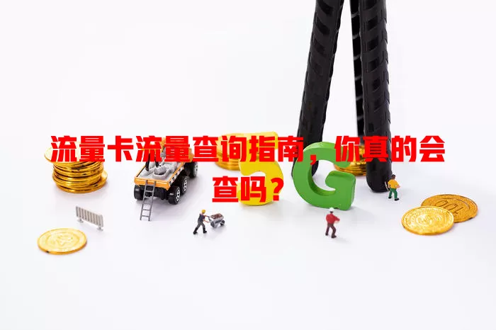 流量卡流量查询指南，你真的会查吗？