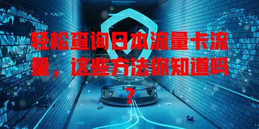 轻松查询日本流量卡流量，这些方法你知道吗？