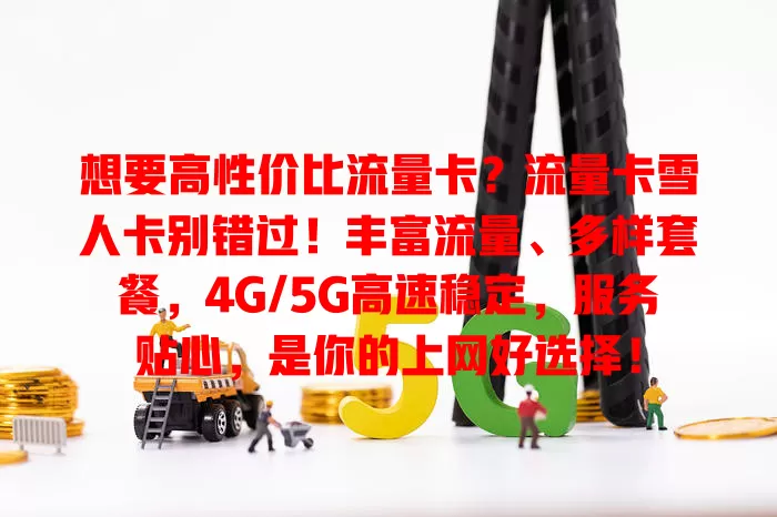 想要高性价比流量卡？流量卡雪人卡别错过！丰富流量、多样套餐，4G/5G高速稳定，服务贴心，是你的上网好选择！