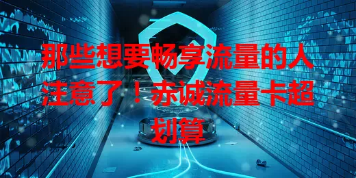 那些想要畅享流量的人注意了！赤诚流量卡超划算