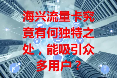 海兴流量卡究竟有何独特之处，能吸引众多用户？