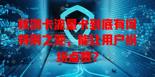 秋鸿卡流量卡到底有何特别之处，能让用户纷纷点赞？