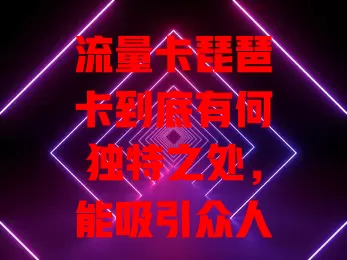 流量卡琵琶卡到底有何独特之处，能吸引众人目光？