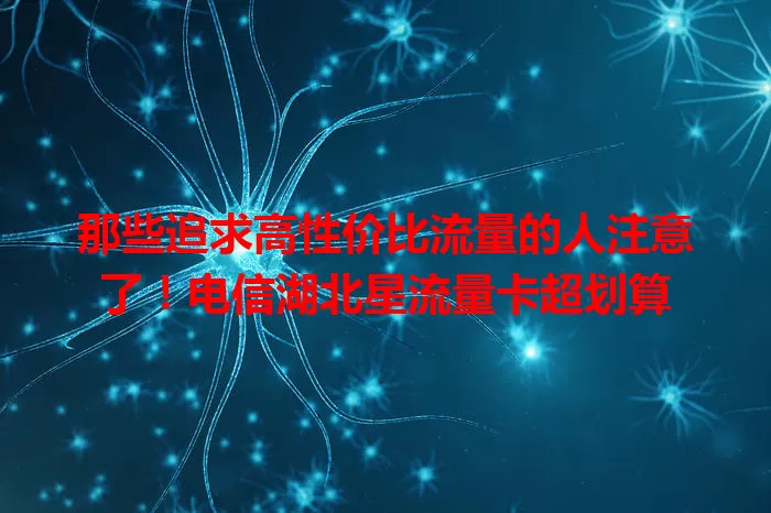 那些追求高性价比流量的人注意了！电信湖北星流量卡超划算