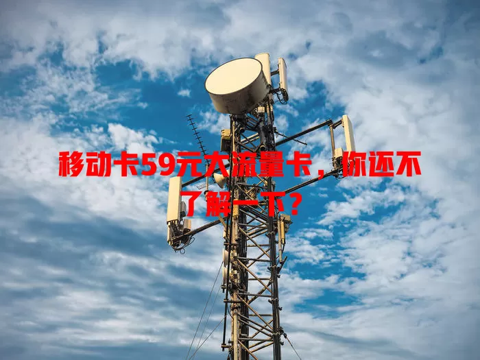 移动卡59元大流量卡，你还不了解一下？