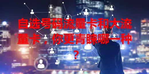 自选号码流量卡和大流量卡，你更青睐哪一种？