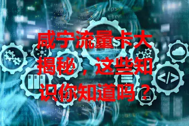 咸宁流量卡大揭秘，这些知识你知道吗？