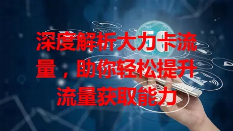 深度解析大力卡流量，助你轻松提升流量获取能力