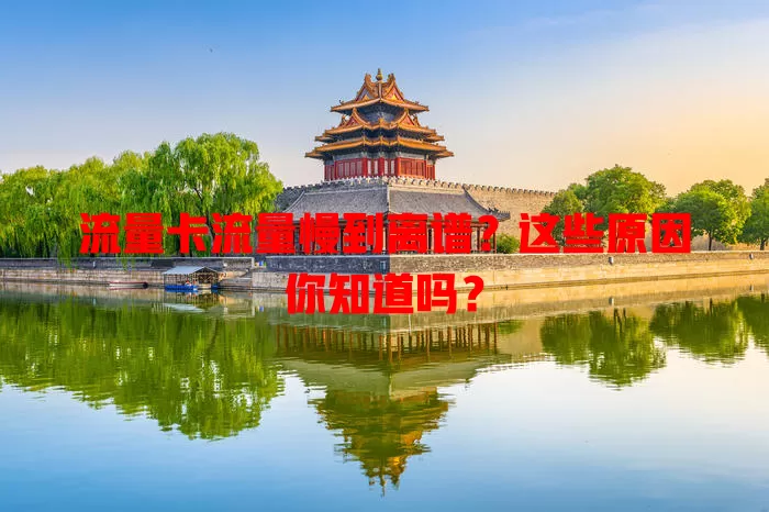 流量卡流量慢到离谱？这些原因你知道吗？