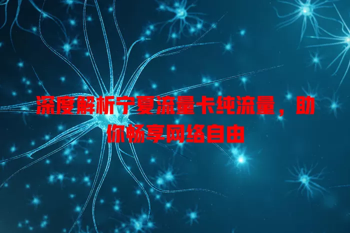 深度解析宁夏流量卡纯流量，助你畅享网络自由