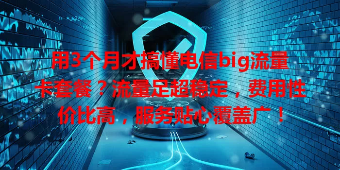 用3个月才搞懂电信big流量卡套餐？流量足超稳定，费用性价比高，服务贴心覆盖广！