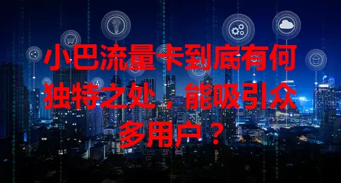 小巴流量卡到底有何独特之处，能吸引众多用户？