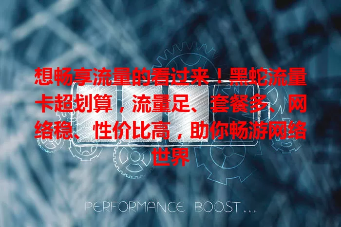 想畅享流量的看过来！黑蛇流量卡超划算，流量足、套餐多、网络稳、性价比高，助你畅游网络世界