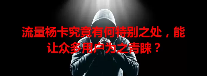 流量杨卡究竟有何特别之处，能让众多用户为之青睐？