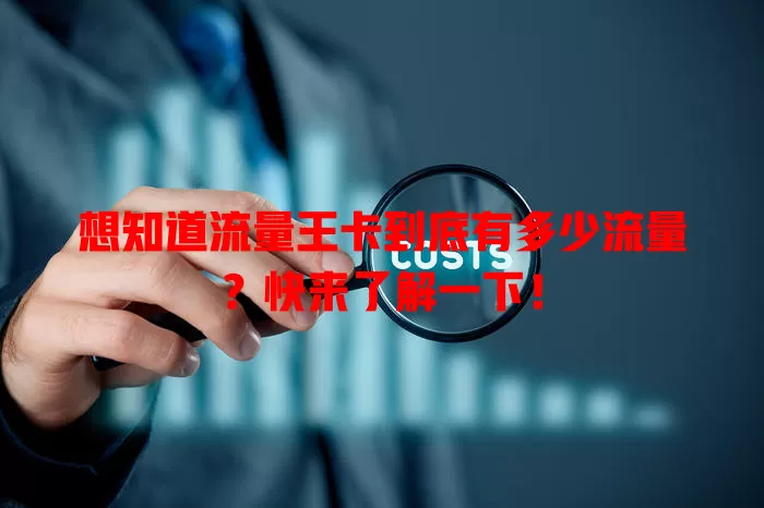 想知道流量王卡到底有多少流量？快来了解一下！