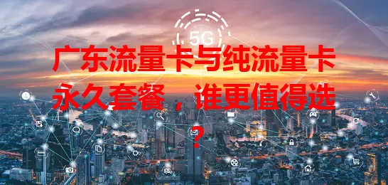广东流量卡与纯流量卡永久套餐，谁更值得选？