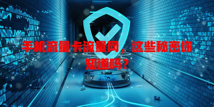 手机流量卡流量网，这些秘密你知道吗？