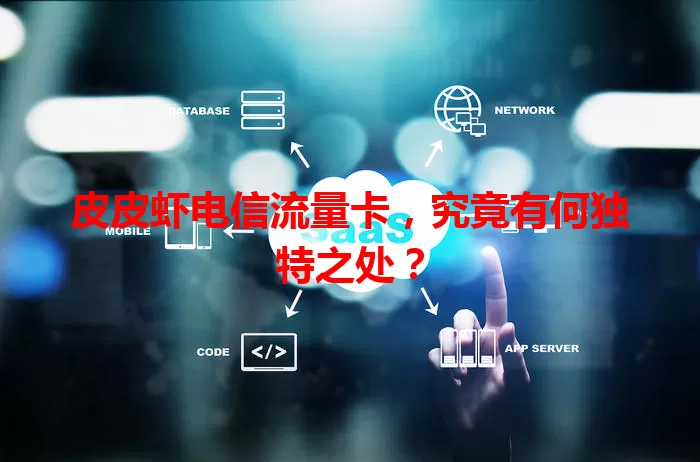 皮皮虾电信流量卡，究竟有何独特之处？