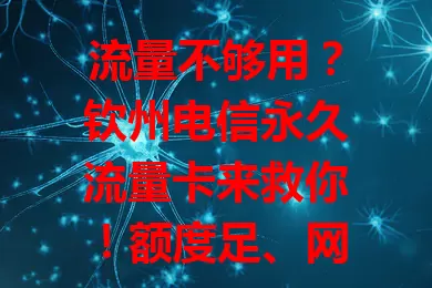 流量不够用？钦州电信永久流量卡来救你！额度足、网络稳、使用便捷，办公追剧都不愁，给你全新上网体验！