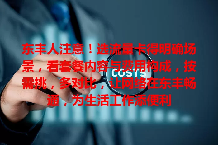 东丰人注意！选流量卡得明确场景，看套餐内容与费用构成，按需挑，多对比，让网络在东丰畅通，为生活工作添便利