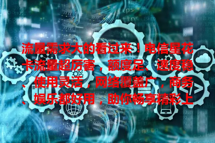 流量需求大的看过来！电信星花卡流量超厉害，额度足、速度稳、使用灵活，网络覆盖广，商务、娱乐都好用，助你畅享精彩上网体验
