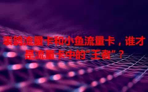 表鸽流量卡和小鱼流量卡，谁才是流量卡中的“王者”？