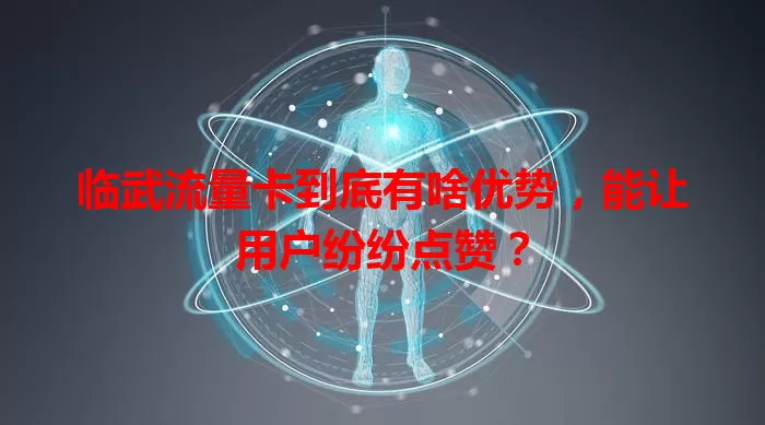 临武流量卡到底有啥优势，能让用户纷纷点赞？