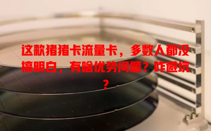 这款猪猪卡流量卡，多数人都没搞明白，有啥优势问题？咋避坑？