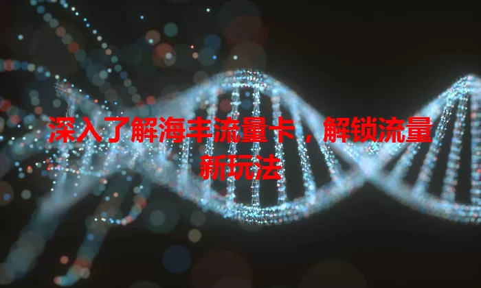 深入了解海丰流量卡，解锁流量新玩法