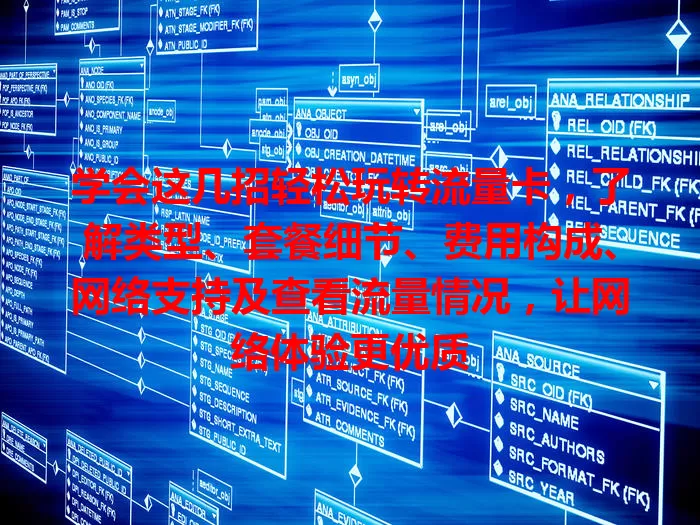 学会这几招轻松玩转流量卡，了解类型、套餐细节、费用构成、网络支持及查看流量情况，让网络体验更优质