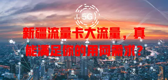 新疆流量卡大流量，真能满足你的用网需求？