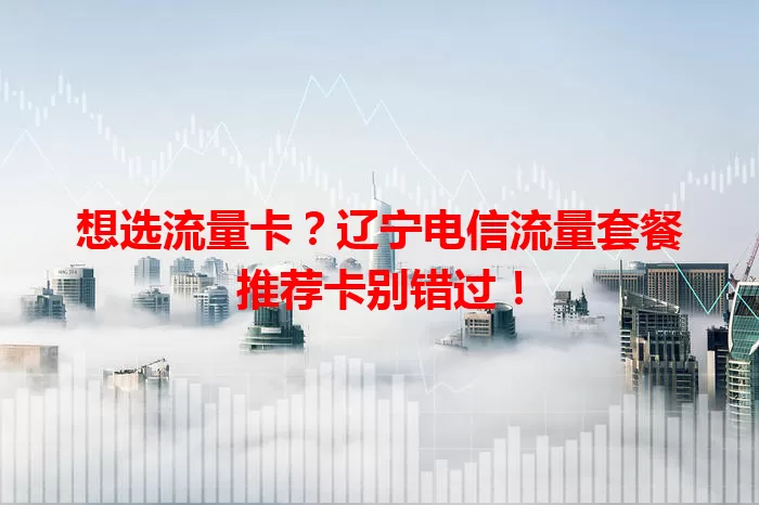 想选流量卡？辽宁电信流量套餐推荐卡别错过！