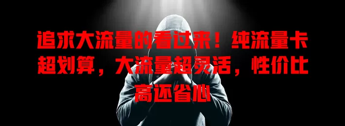 追求大流量的看过来！纯流量卡超划算，大流量超灵活，性价比高还省心